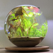 Load and play video in Gallery viewer, 5 Gallon Glass Fish Bowl
