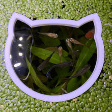 Load image into Gallery viewer, Cat Portal Feeding Ring Fish Feeders
