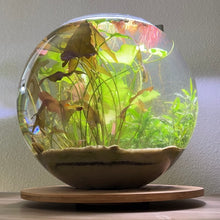 Cargar imagen en el visor de la galería, 5 Gallon Glass Fish Bowl

